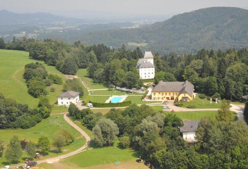 Отель Gut Drasing