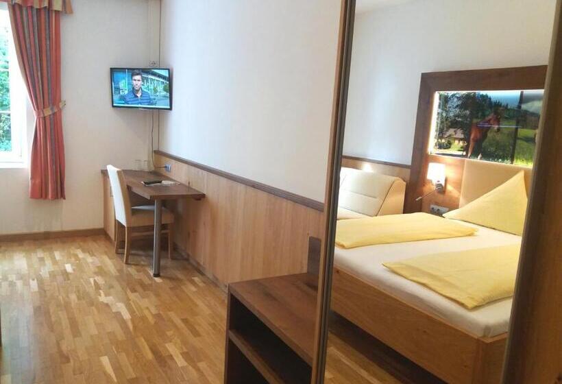 Отель Gut Drasing