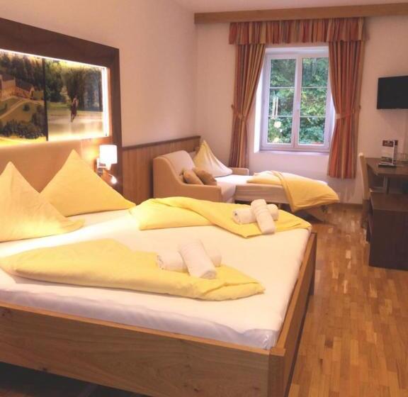 Отель Gut Drasing