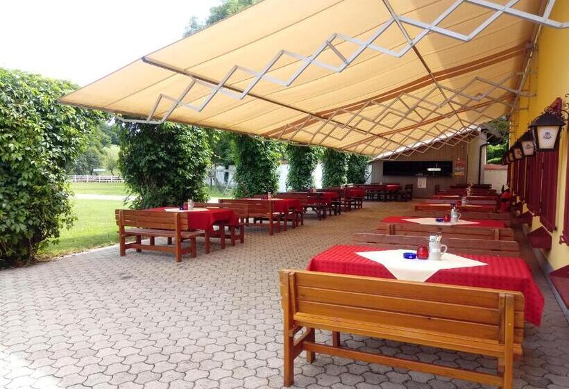 Отель Gut Drasing