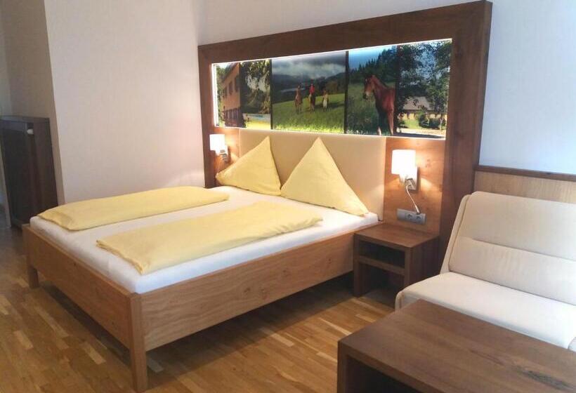 Отель Gut Drasing