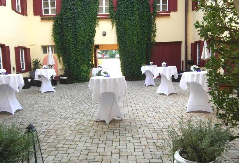 Отель Gut Drasing