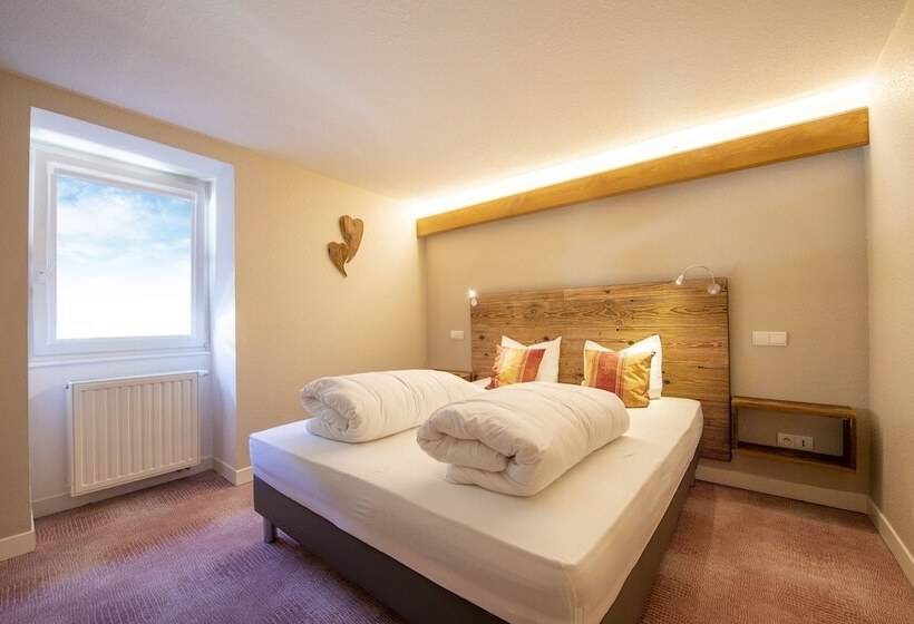 בית מלון כפרי Hôtel Restaurant Valneige