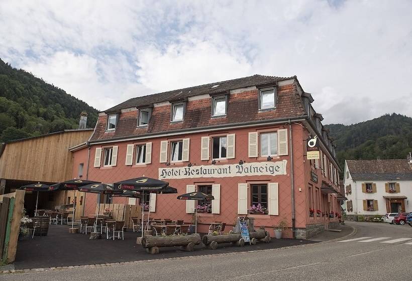 בית מלון כפרי Hôtel Restaurant Valneige