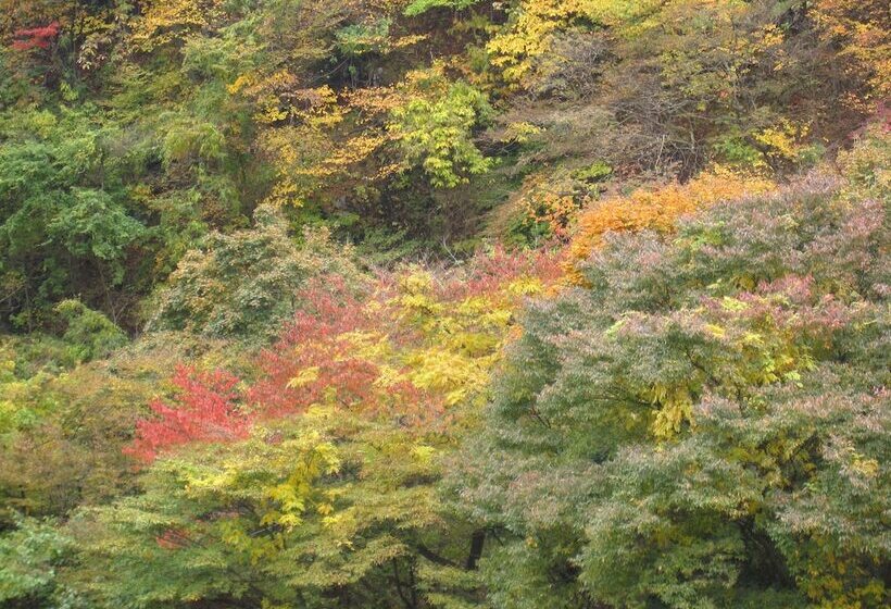 호텔 Koduchi No Yado Tsurukamedaikichi