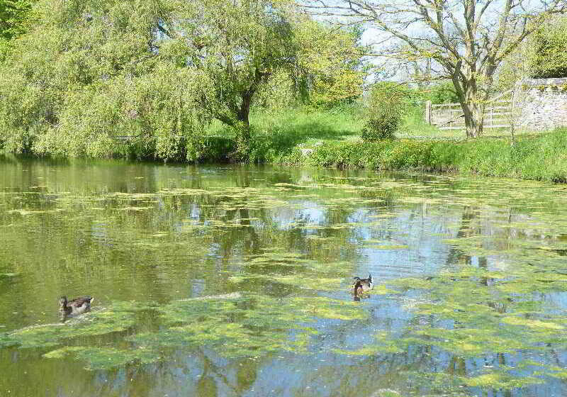 בית מלון כפרי La Ferme Des Mares, Demeures & Châteaux