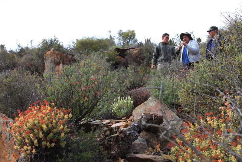 호텔 Madi Madi Karoo Safari Lodge