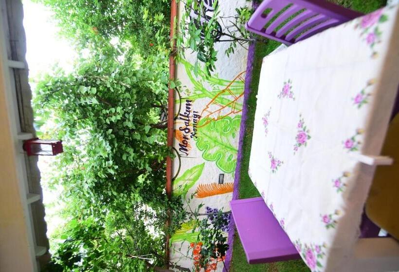 酒店 Mor Salkım Konağı