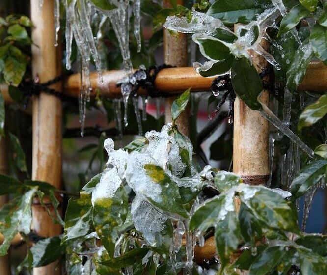 Отель Ohara No Sato