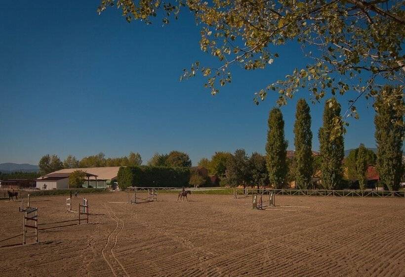 هتل Podere Violino