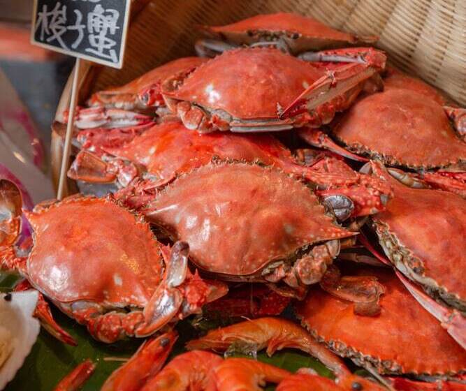 בית מלון כפרי Sheraton Shantou