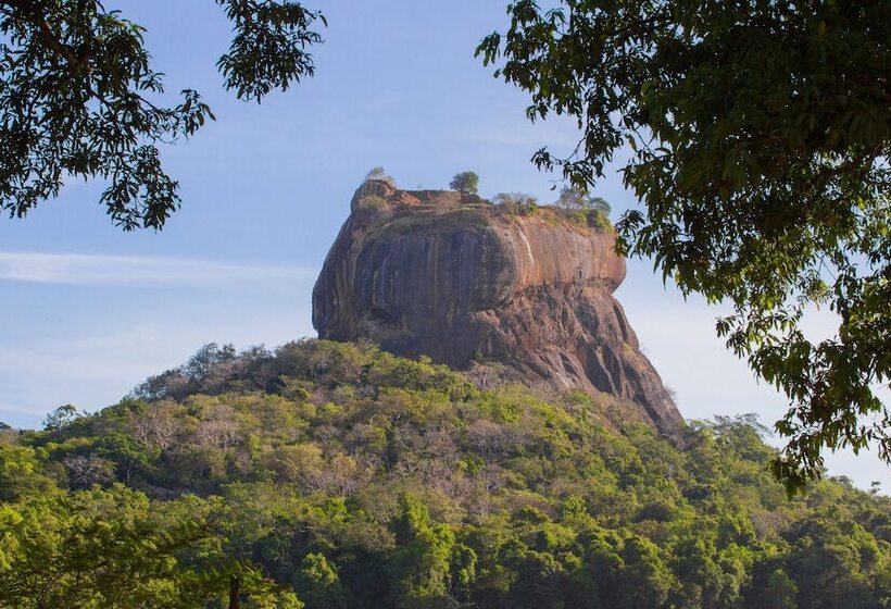 酒店 Sigiriya Village