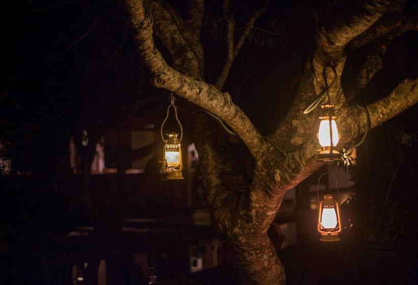 酒店 Sigiriya Village