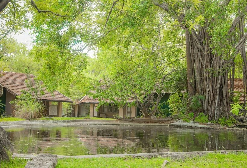 酒店 Sigiriya Village