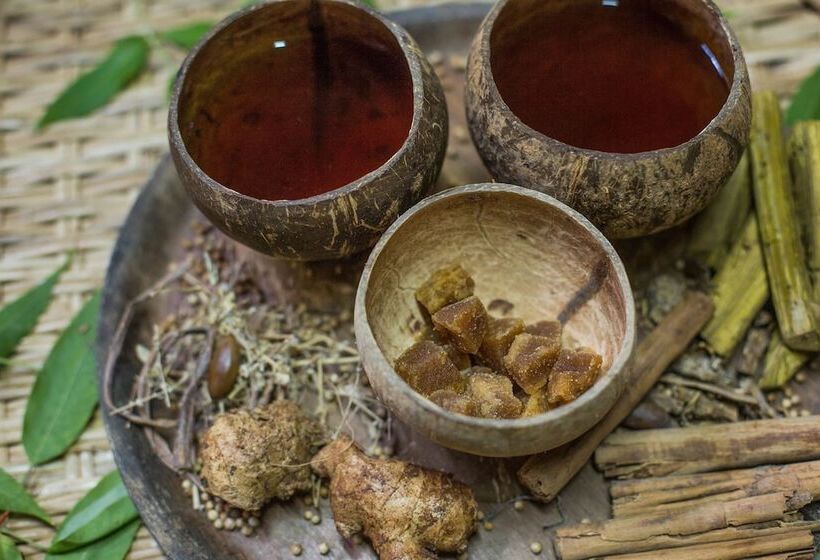 酒店 Sigiriya Village