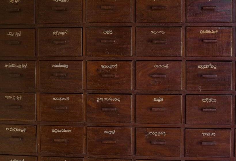 酒店 Sigiriya Village