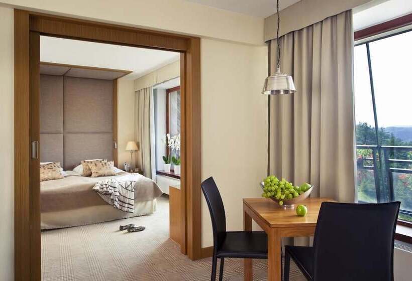 هتل Spa Dr Irena Eris Krynica Zdrój