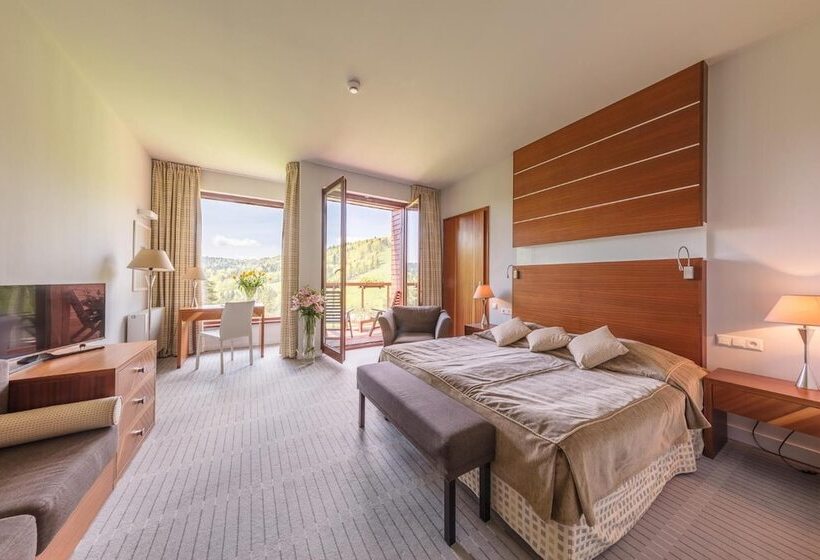 هتل Spa Dr Irena Eris Krynica Zdrój