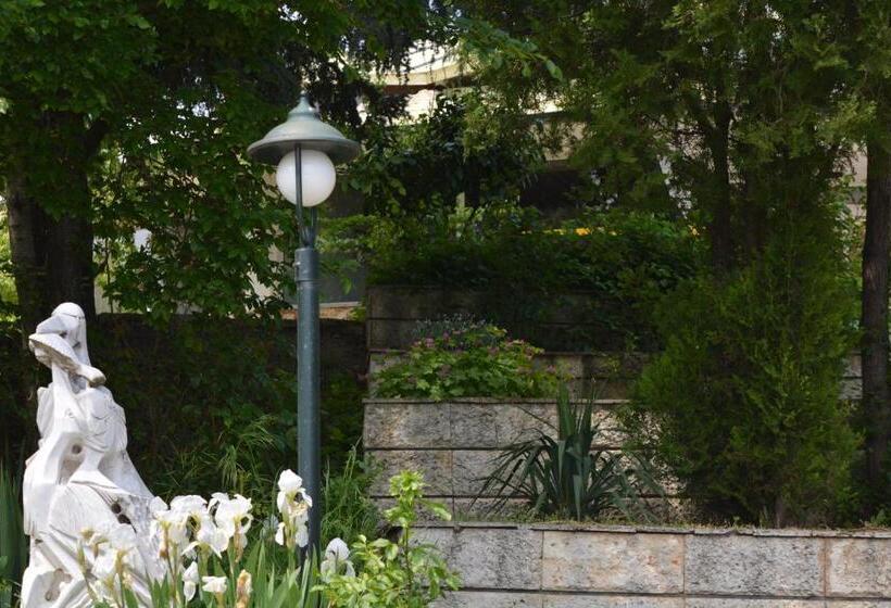 Отель Sunshine Pearl Family