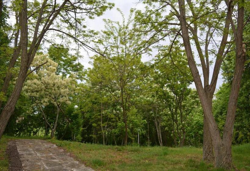 Отель Sunshine Pearl Family