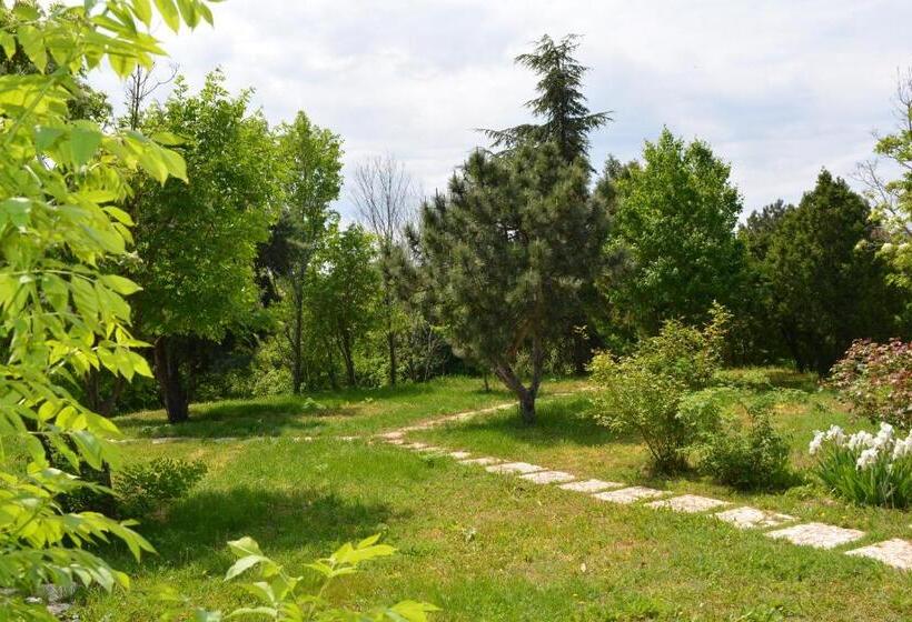 Отель Sunshine Pearl Family