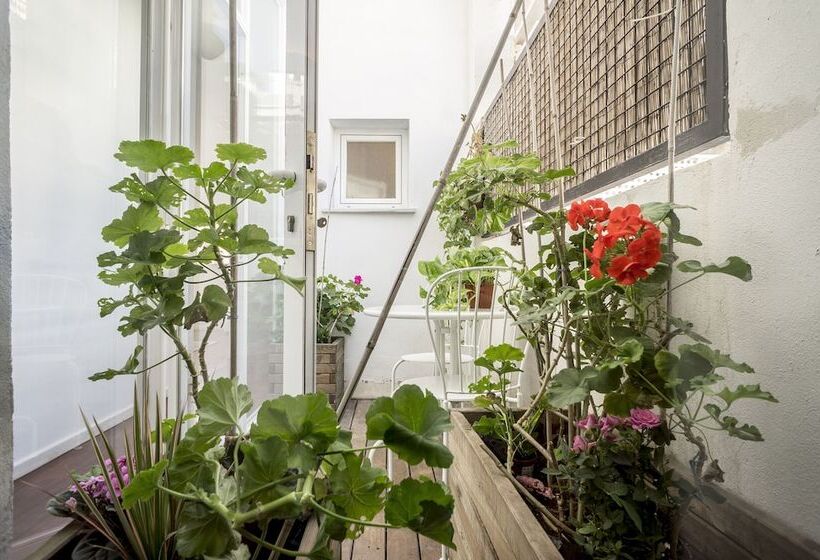 Marshall Apartments By Hoom