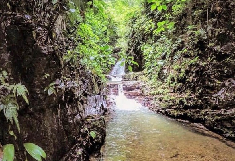 Oxygen Jungle Villas & Spa