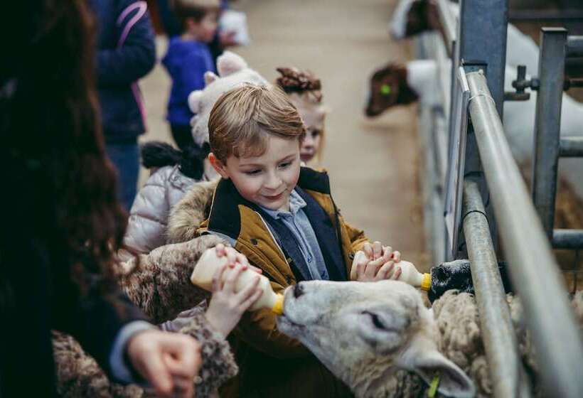 The Coniston Hotel Country Estate & Spa   Skipton