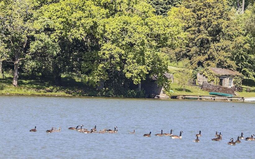 The Coniston Hotel Country Estate & Spa   Skipton