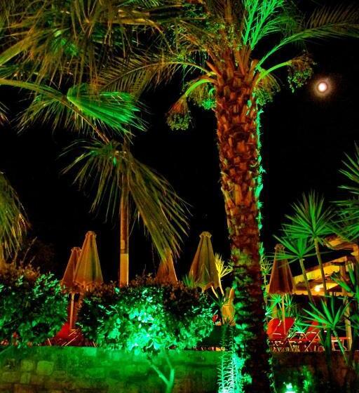 Bella Elena By Estia