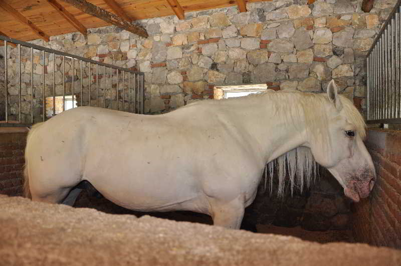 Akkaya Garden Apartment
