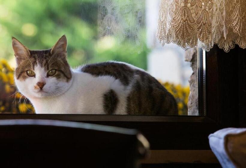 酒店 Atrion Highland