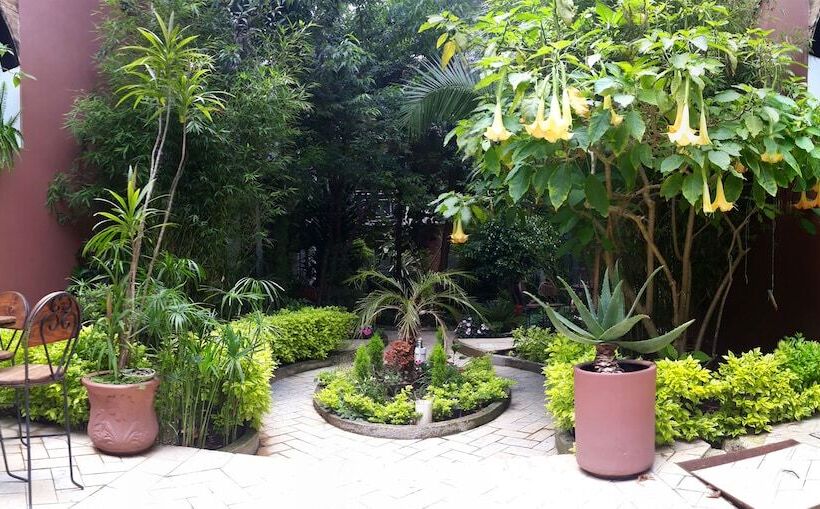 בית מלון כפרי Axkan Arte