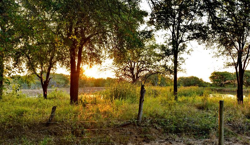 酒店 Black Rhino Game Lodge