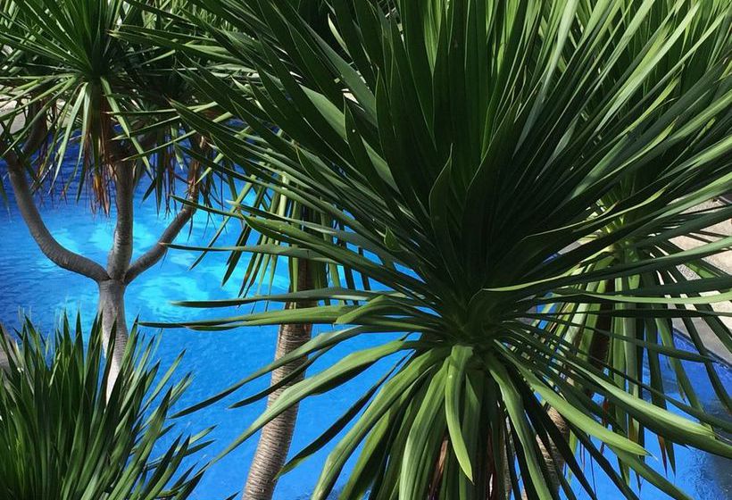 فندق Bona Village Inn