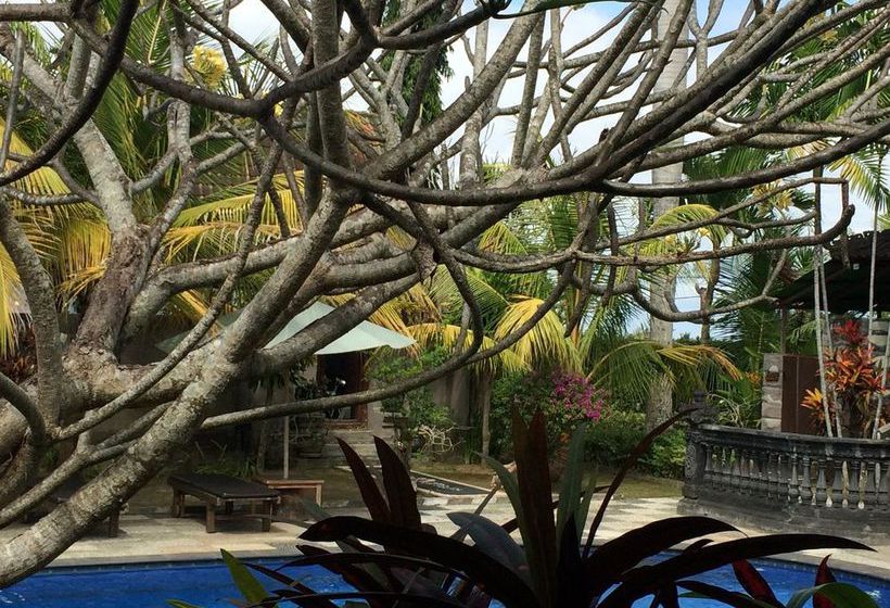 فندق Bona Village Inn