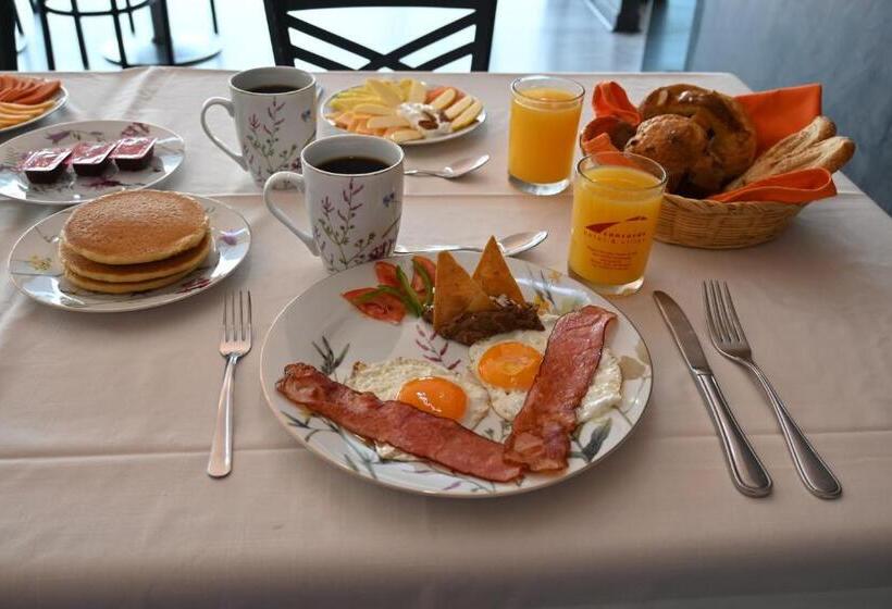 酒店 Concorde Toluca