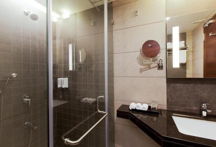 ホテル Cosmopolitan Ahmedabad