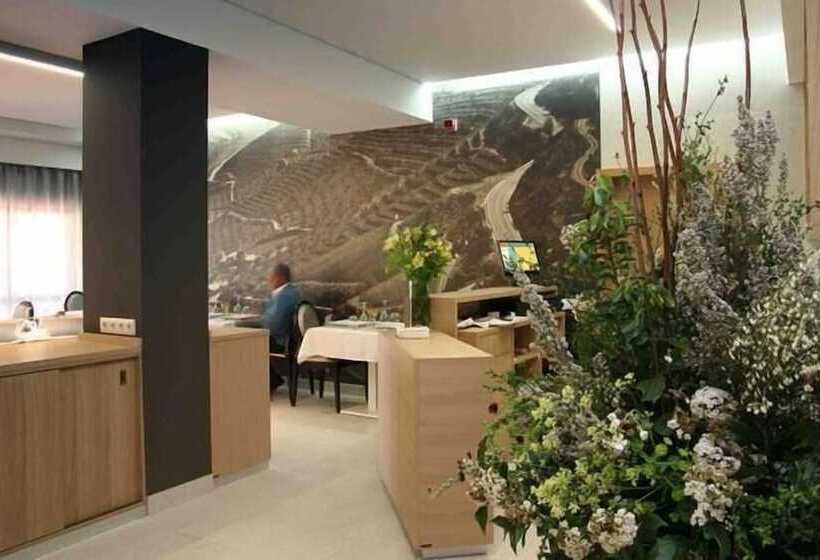 Отель Douro Inn