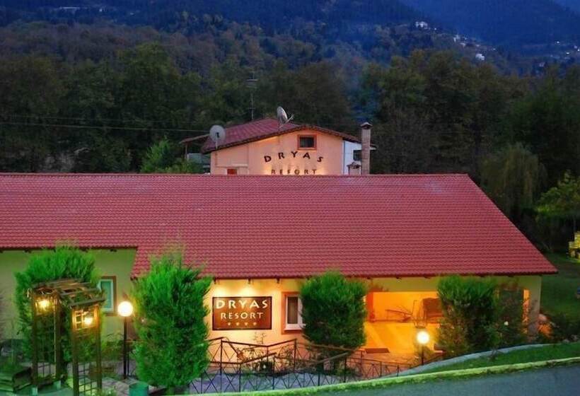 Отель Dryas