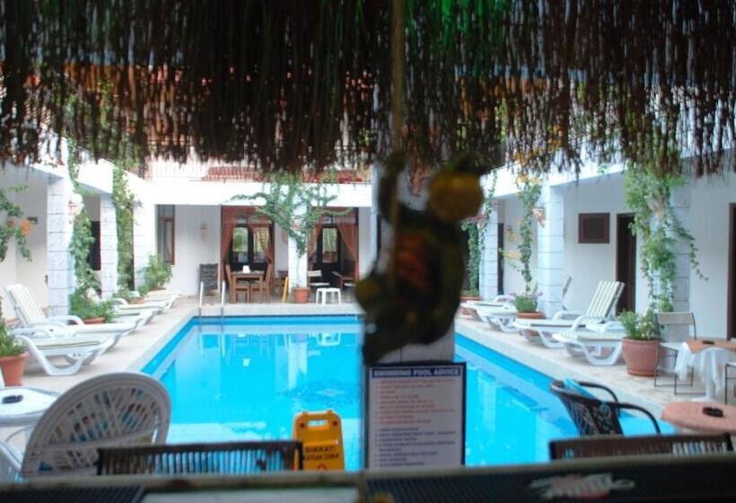 Отель Han Dalyan