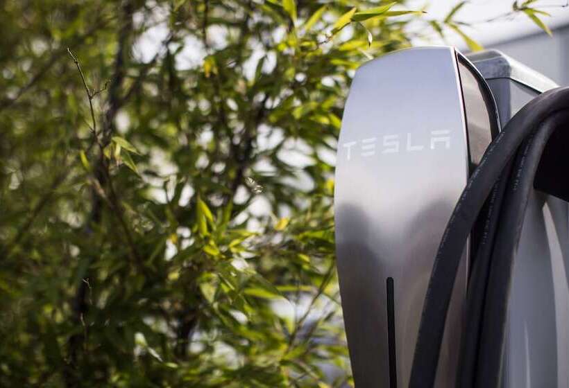 酒店 Hounds Tooth Inn