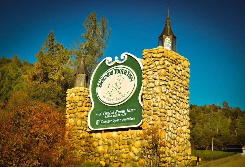 酒店 Hounds Tooth Inn