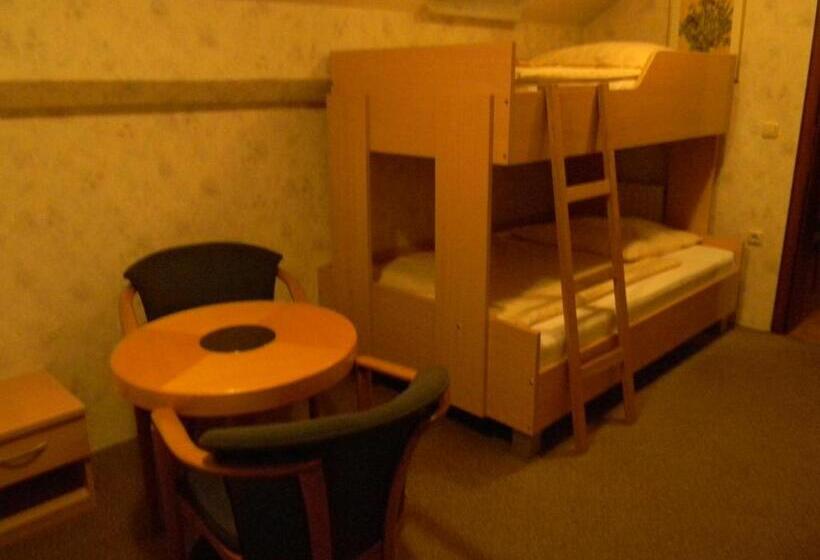 هتل Krona Domžale