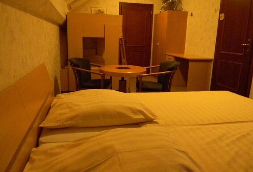 هتل Krona Domžale