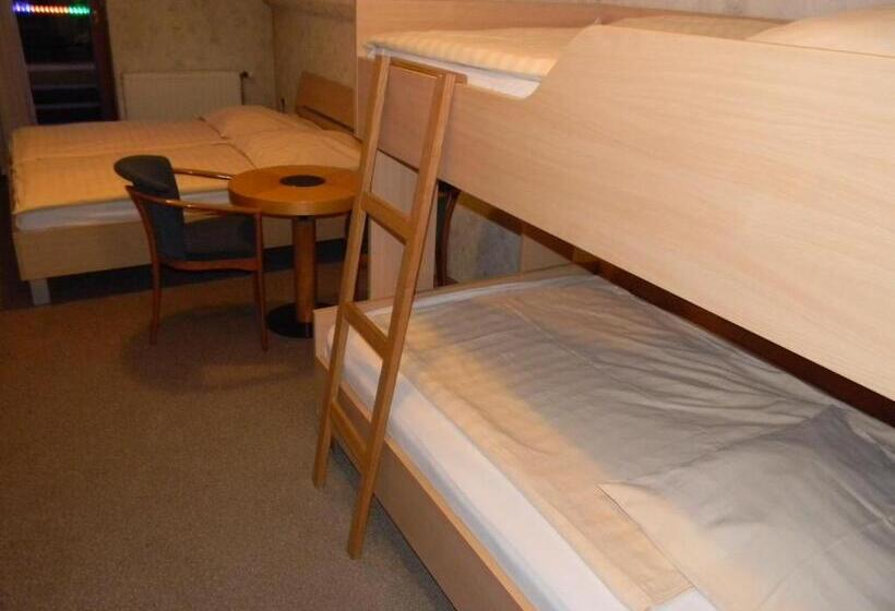 هتل Krona Domžale