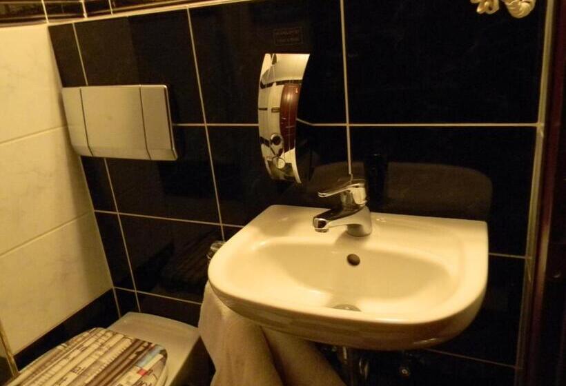 هتل Krona Domžale