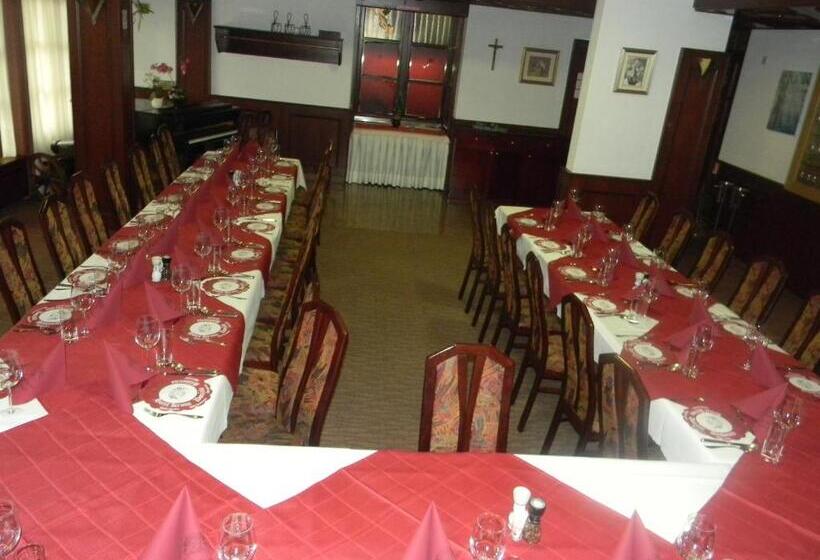 هتل Krona Domžale