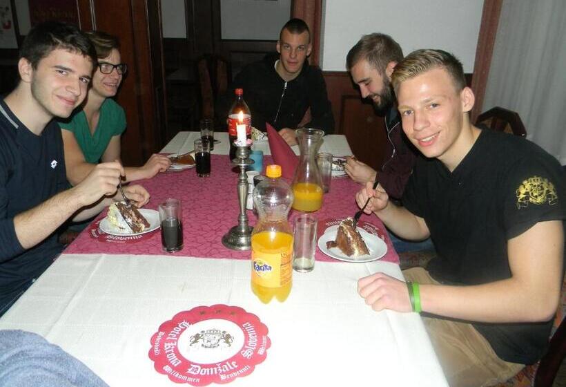 هتل Krona Domžale