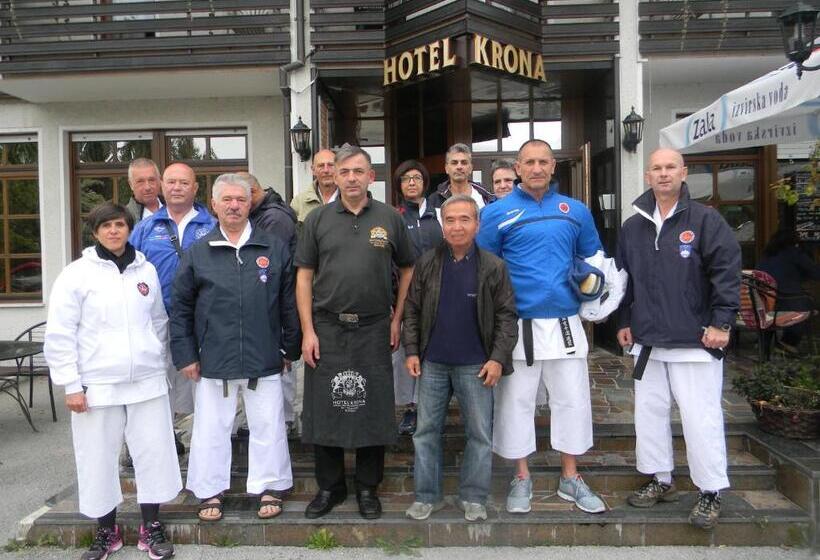 هتل Krona Domžale